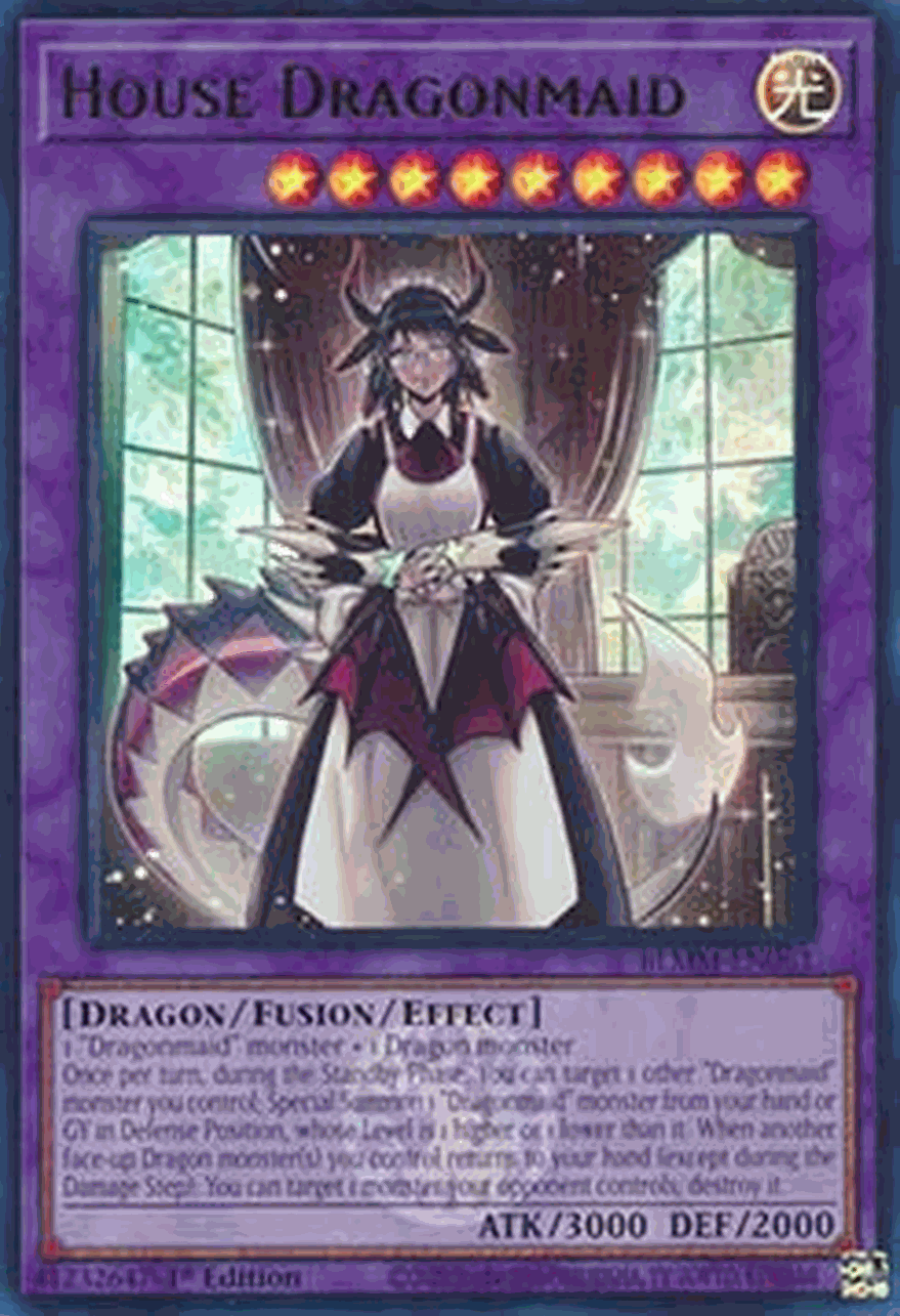 House Dragonmaid