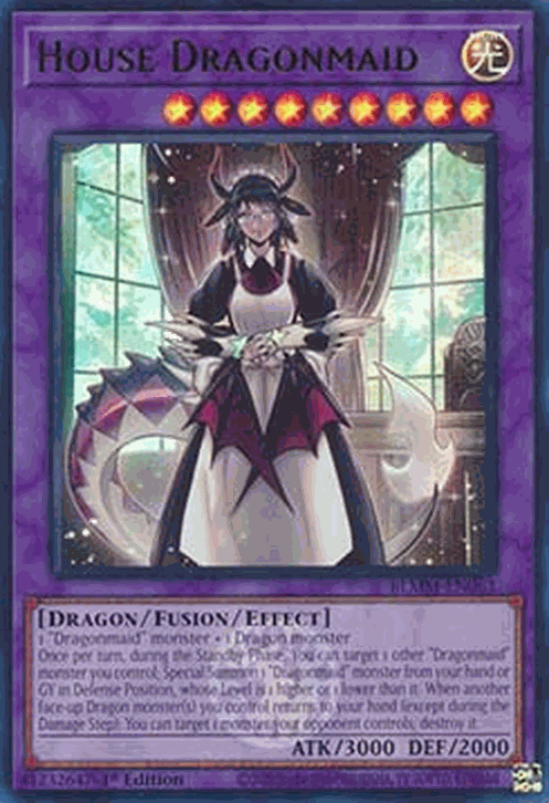 House Dragonmaid
