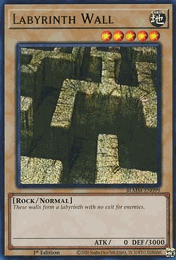 Labyrinth Wall