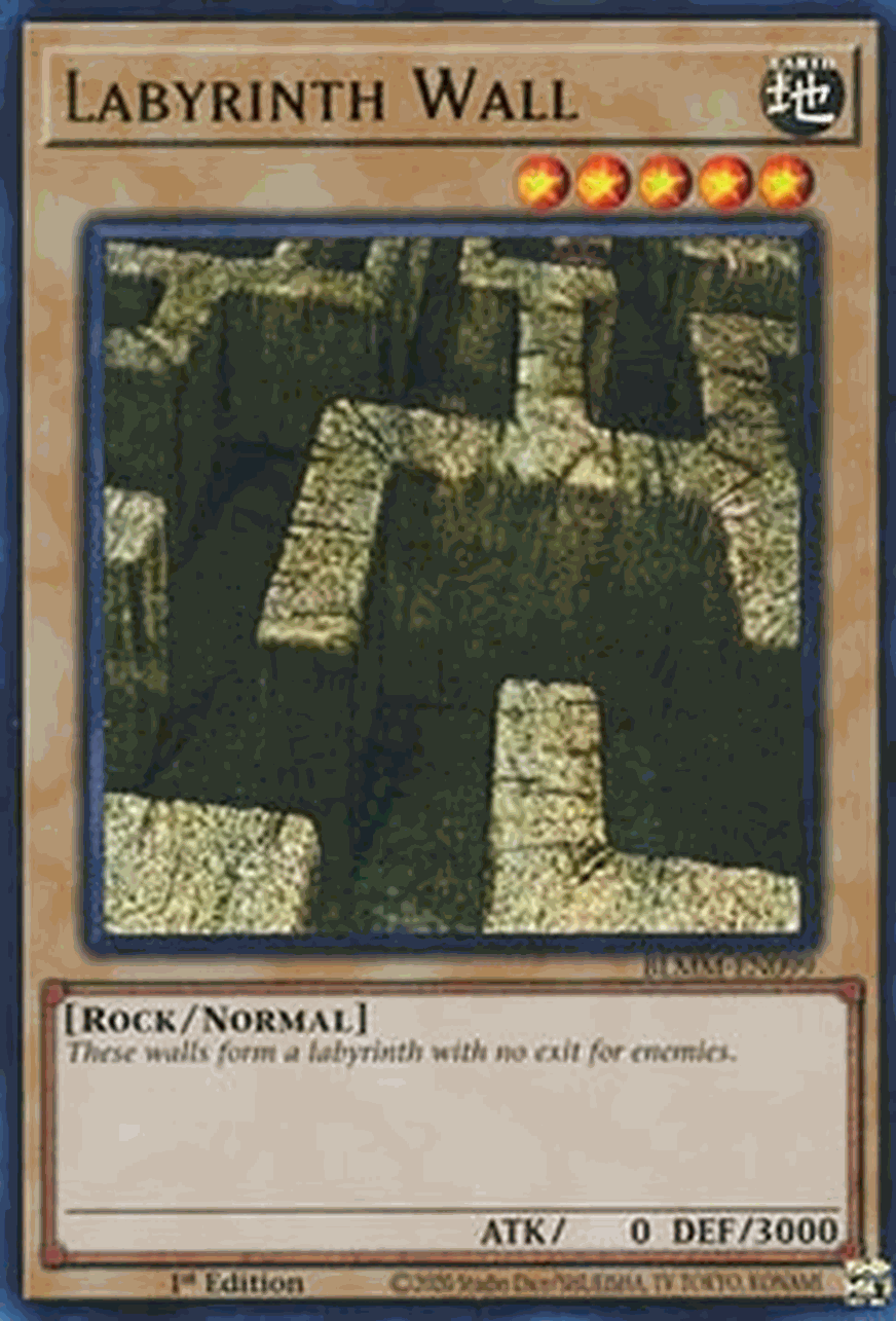 Labyrinth Wall