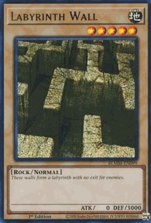 Labyrinth Wall