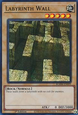 Labyrinth Wall