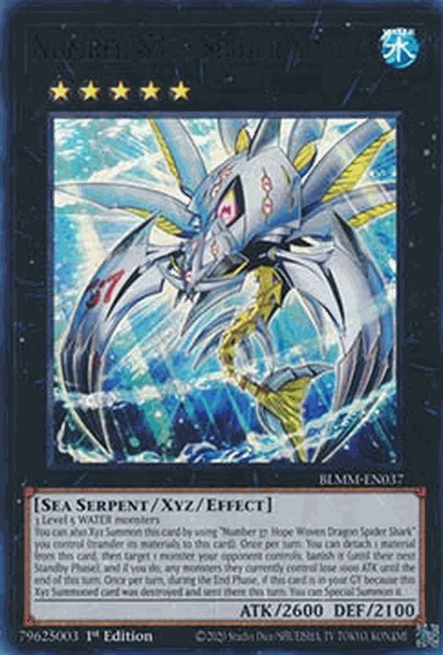 Number S37: Spider Shark