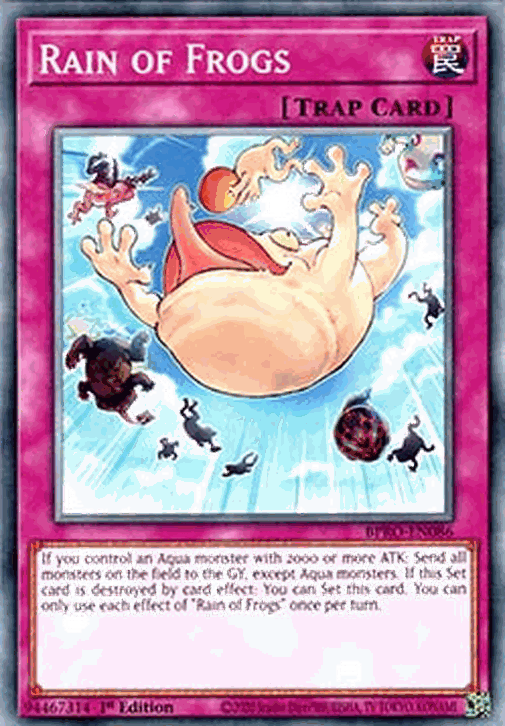 Rain of Frogs
