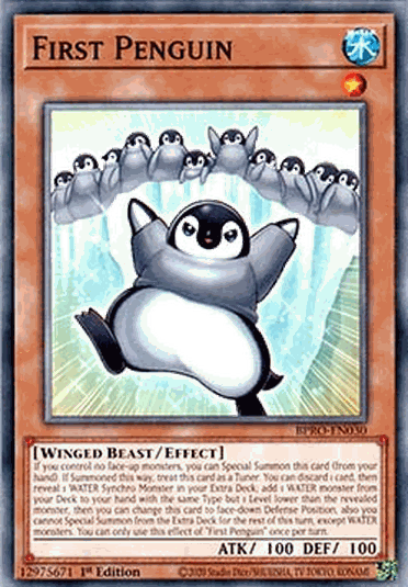 First Penguin