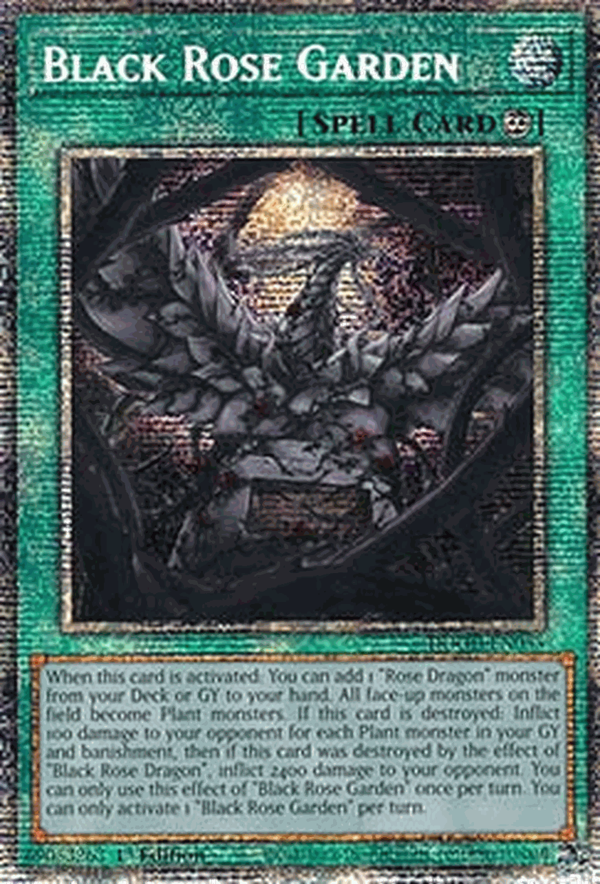 Black Rose Garden (V.2 - Starlight Rare)
