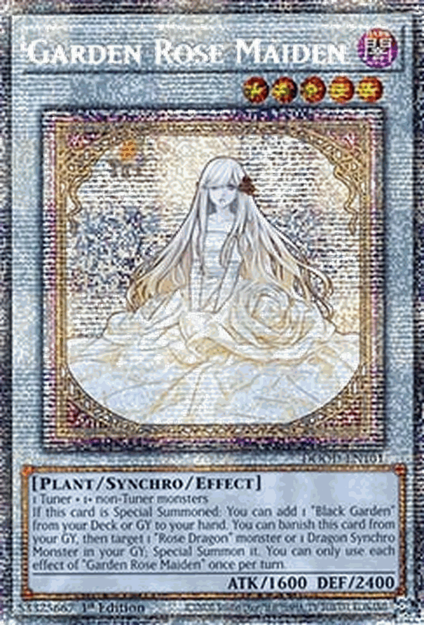 Garden Rose Maiden