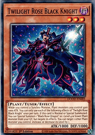 Twilight Rose Black Knight