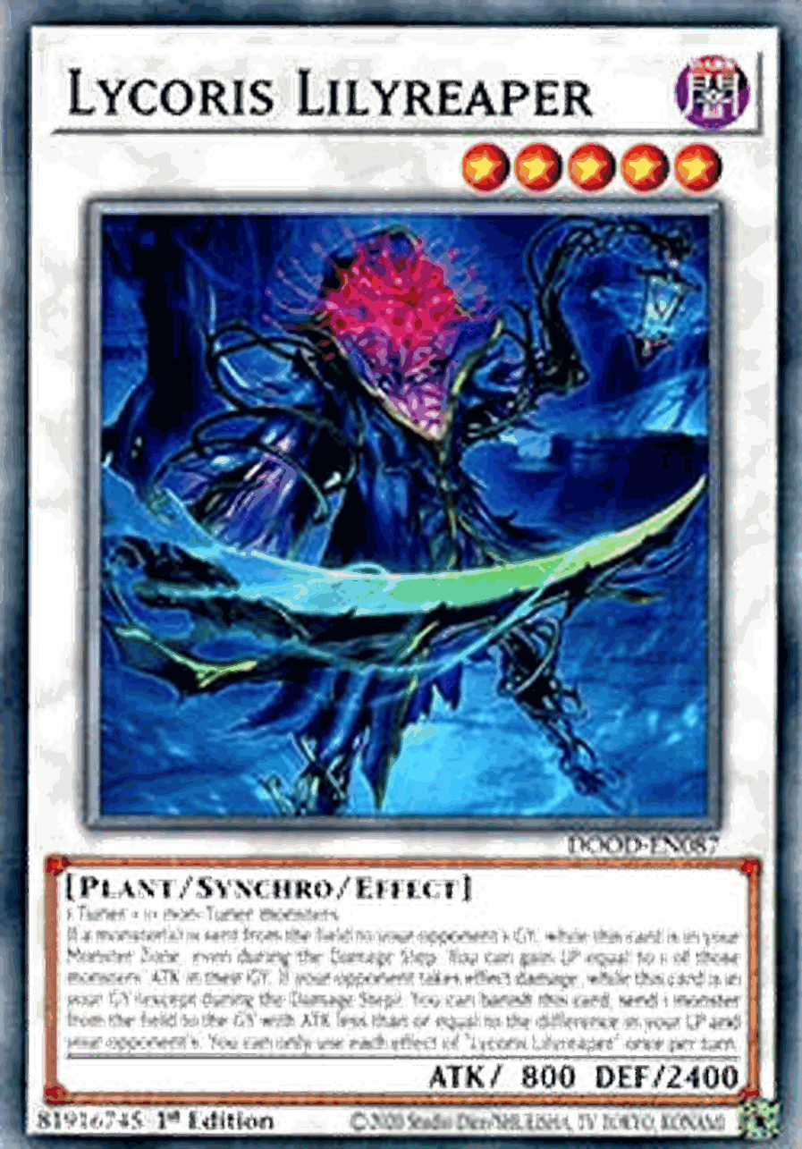 Lycoris Lilyreaper
