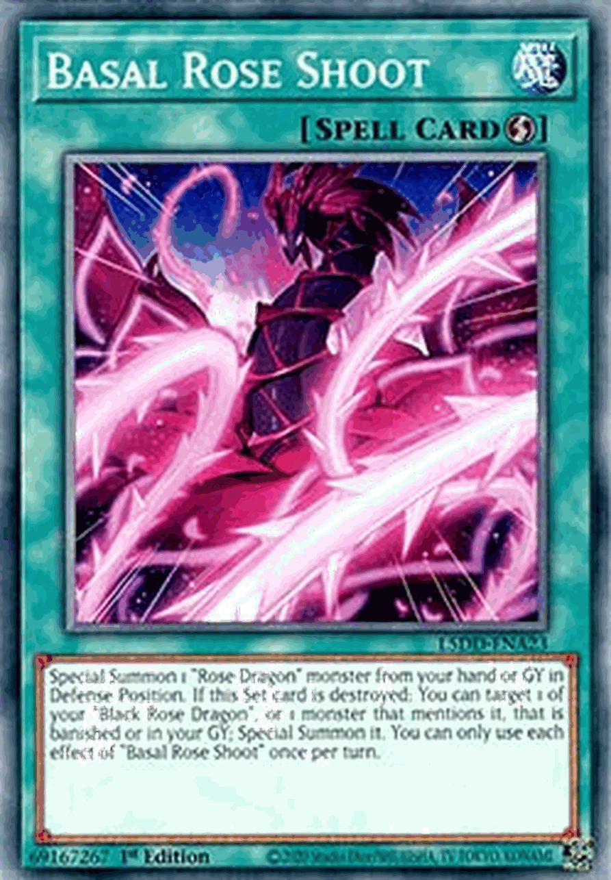 Basal Rose Shoot (V.2 - Common)