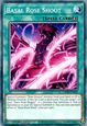 Basal Rose Shoot (V.2 - Common)