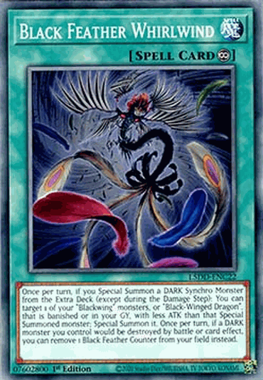 Black Feather Whirlwind