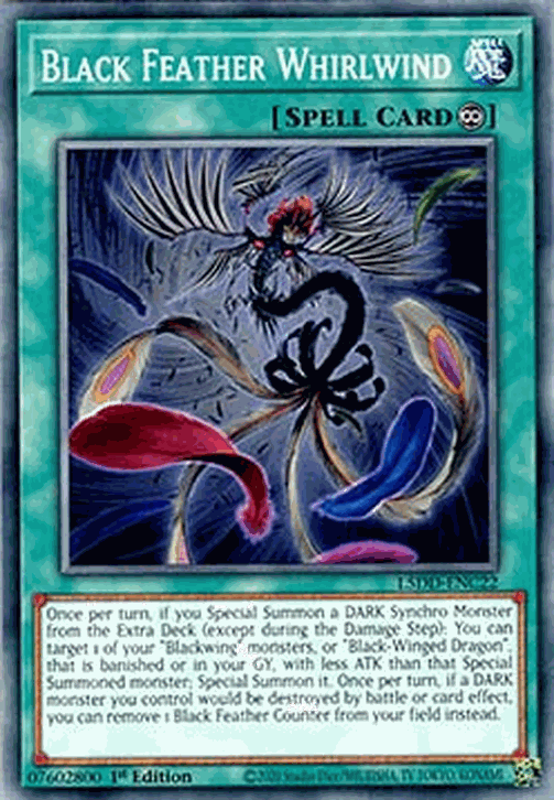 Black Feather Whirlwind