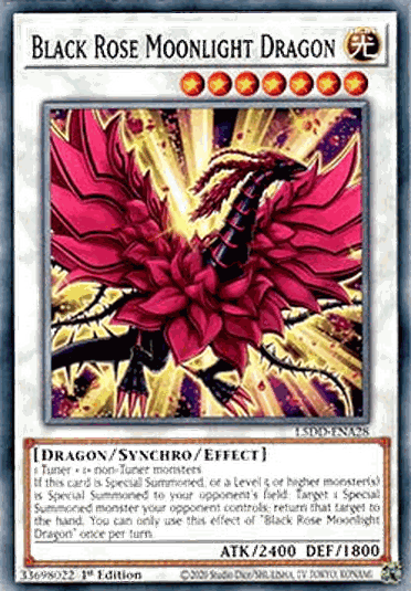 Black Rose Moonlight Dragon