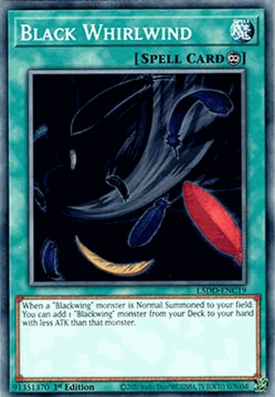 Black Whirlwind