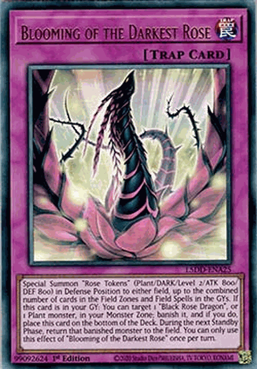 Blooming of the Darkest Rose