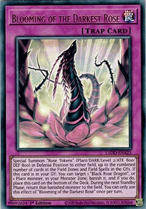 Blooming of the Darkest Rose