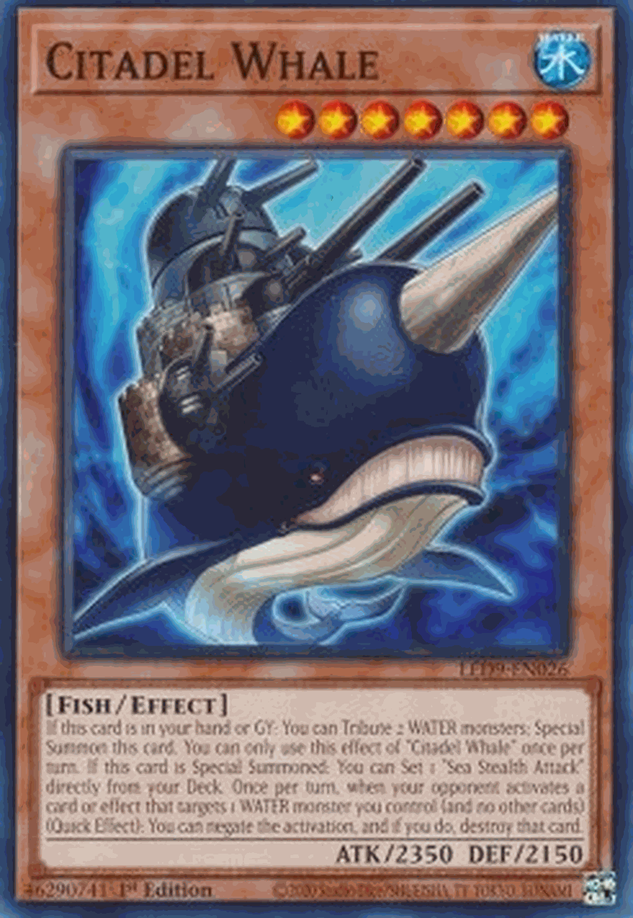 Citadel Whale