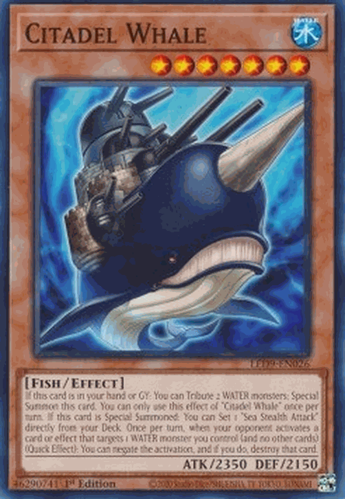 Citadel Whale