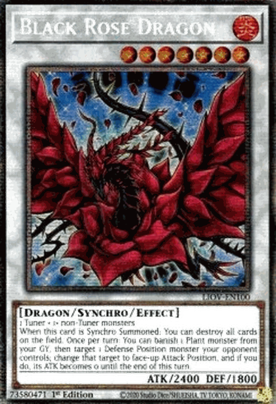 Black Rose Dragon