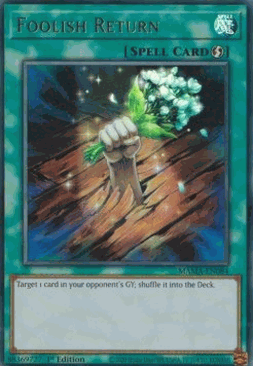 Foolish Return