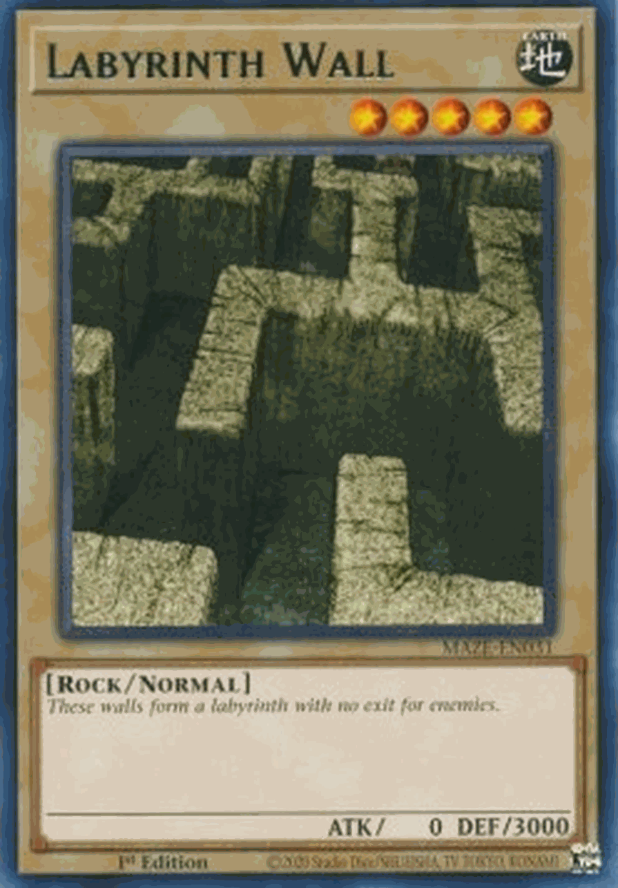 Labyrinth Wall