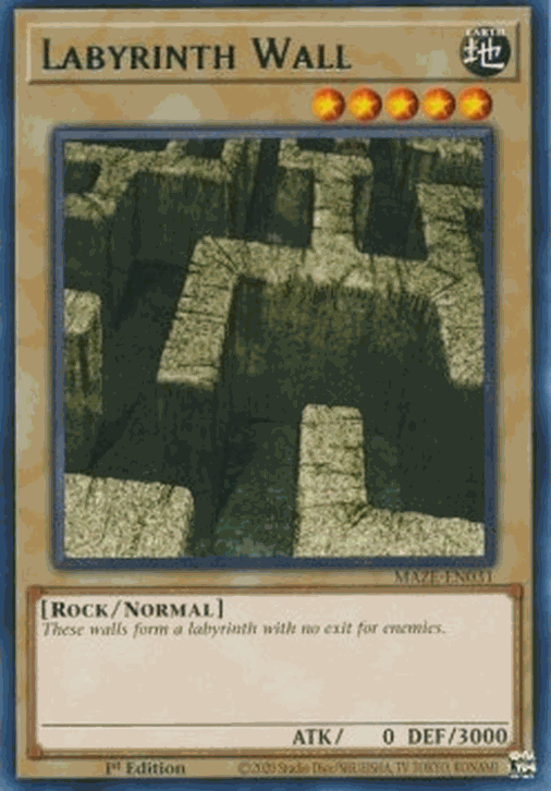 Labyrinth Wall