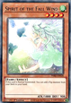 Spirit of the Fall Wind