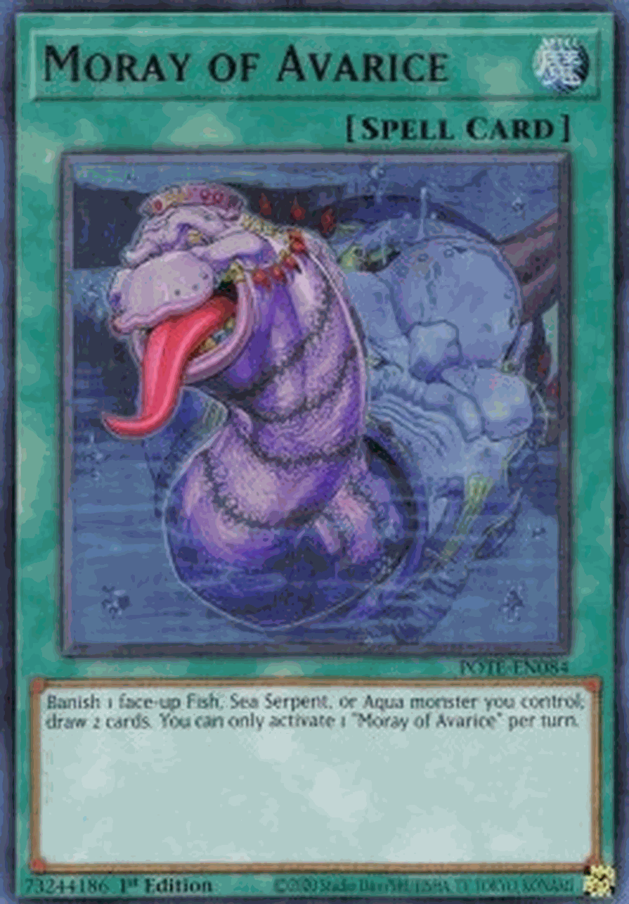 Moray of Avarice