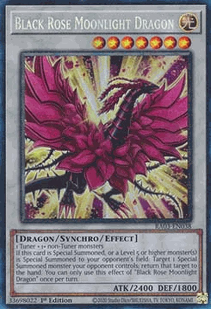 Black Rose Moonlight Dragon (V.6 - Collectors Rare)