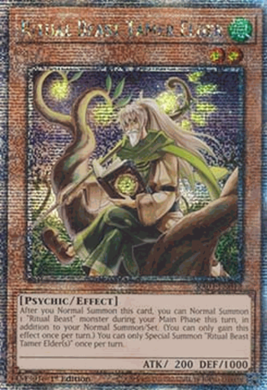 Ritual Beast Tamer Elder (V.5 - Quarter Century Secret Rare)