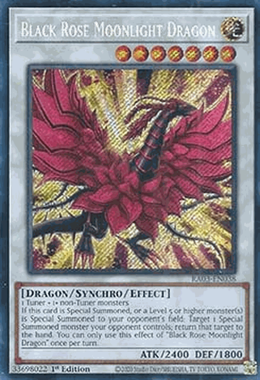 Black Rose Moonlight Dragon (V.3 - Secret Rare)