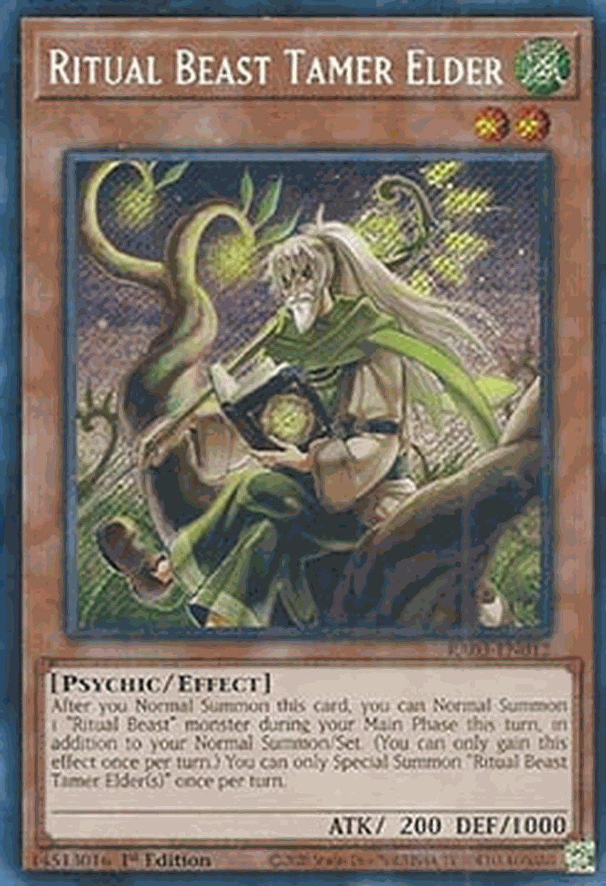 Ritual Beast Tamer Elder (V.3 - Secret Rare)