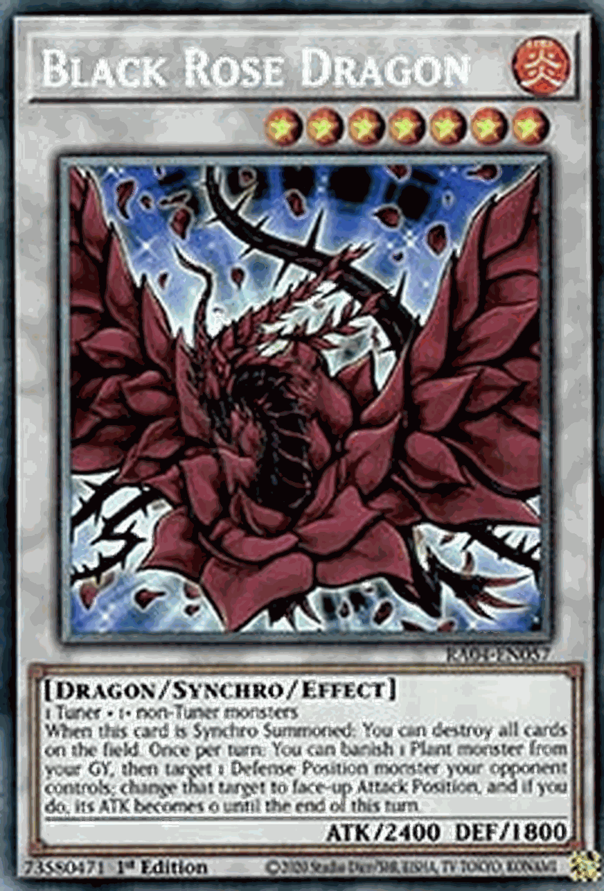 Black Rose Dragon (V.6 - Collectors Rare)