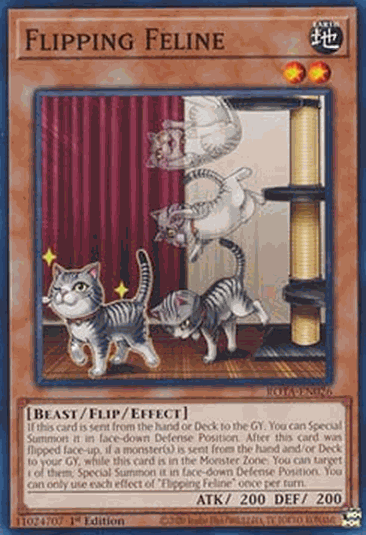 Flipping Feline