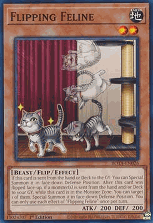 Flipping Feline