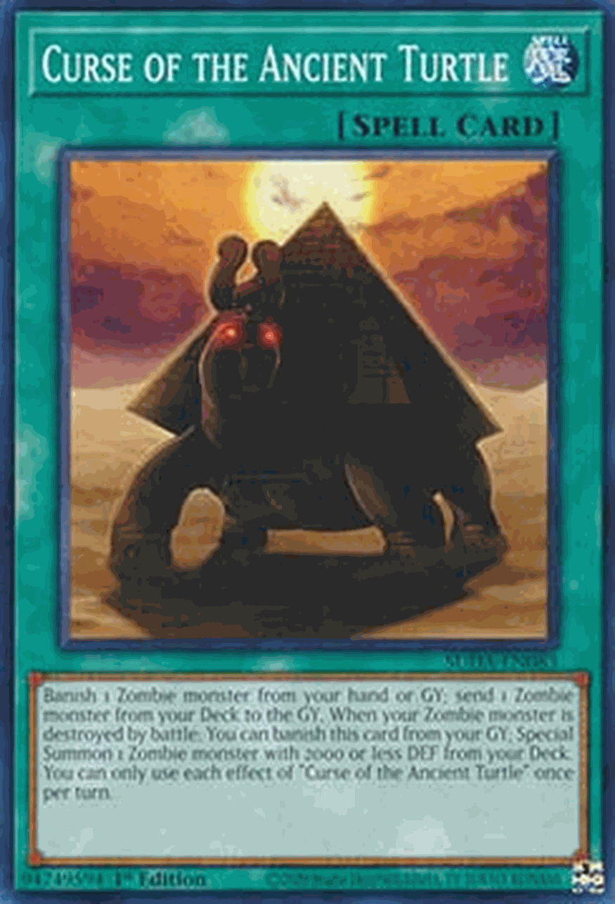 Curse of the Ancient Turtle