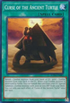 Curse of the Ancient Turtle