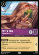 Peter Pan - Shadow Catcher