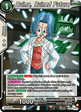 Bulma, Ruined Future