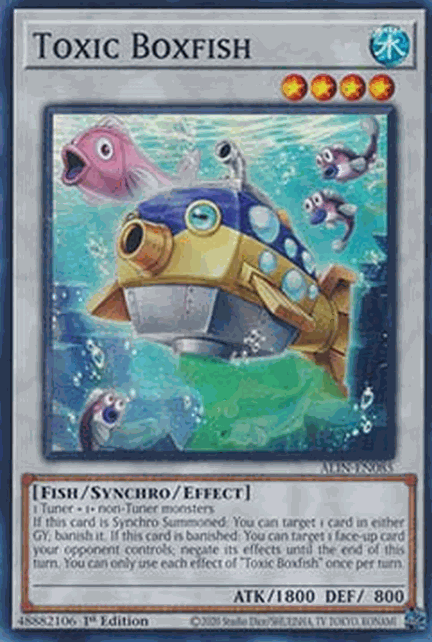 Toxic Boxfish
