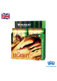Magic: The Gathering -The Hobbit Collector Booster Box- ENG