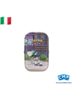 Pokémon Lumiose Tin Gallade ITA