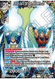 SSB Son Goku & SSB Vegeta, Battle With a God