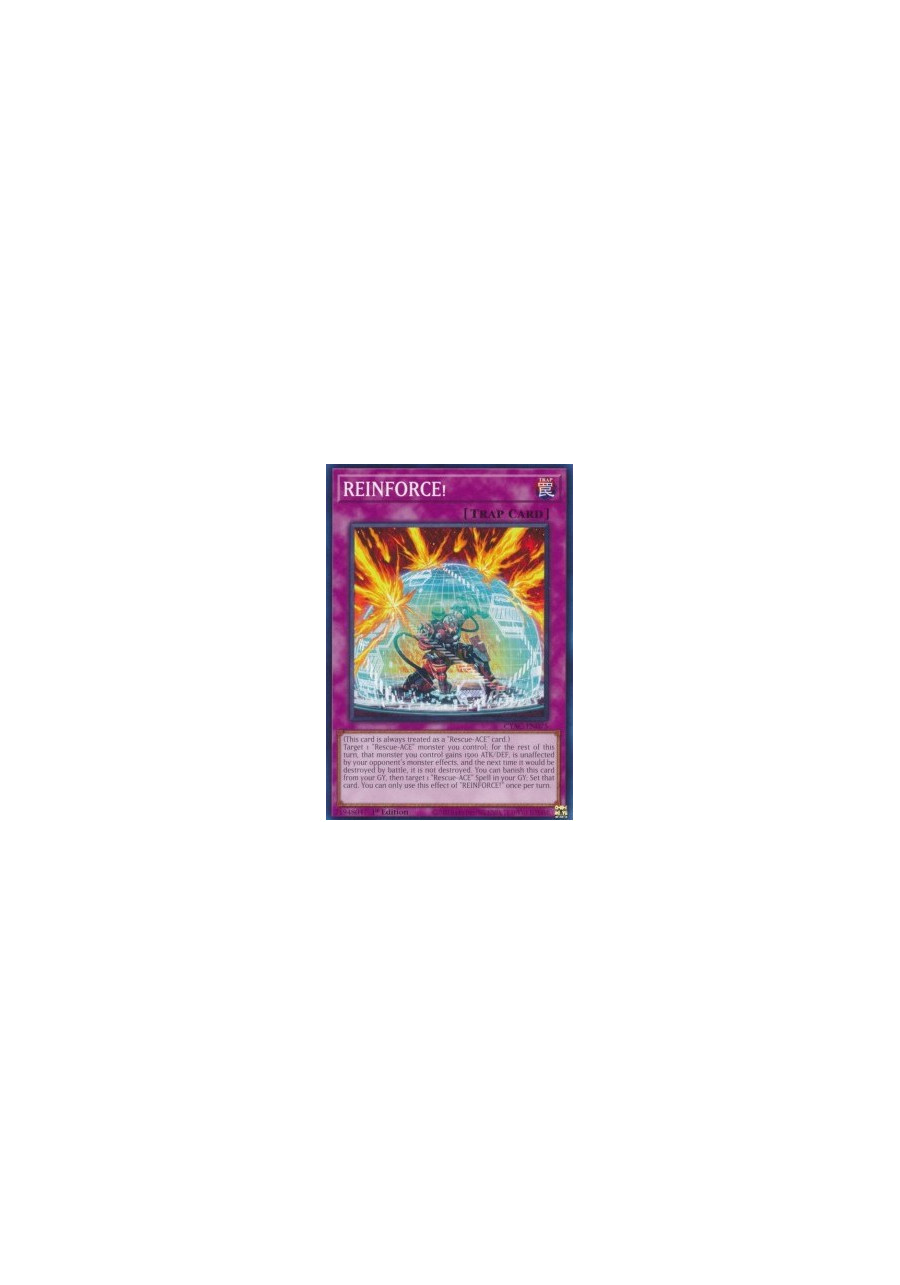 REINFORCE!