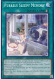 Purrely Sleepy Memory