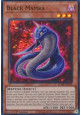 Black Mamba