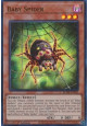 Baby Spider