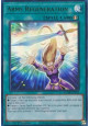 Arms Regeneration