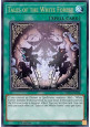 Tales of the White Forest (V.1 - Ultra Rare)